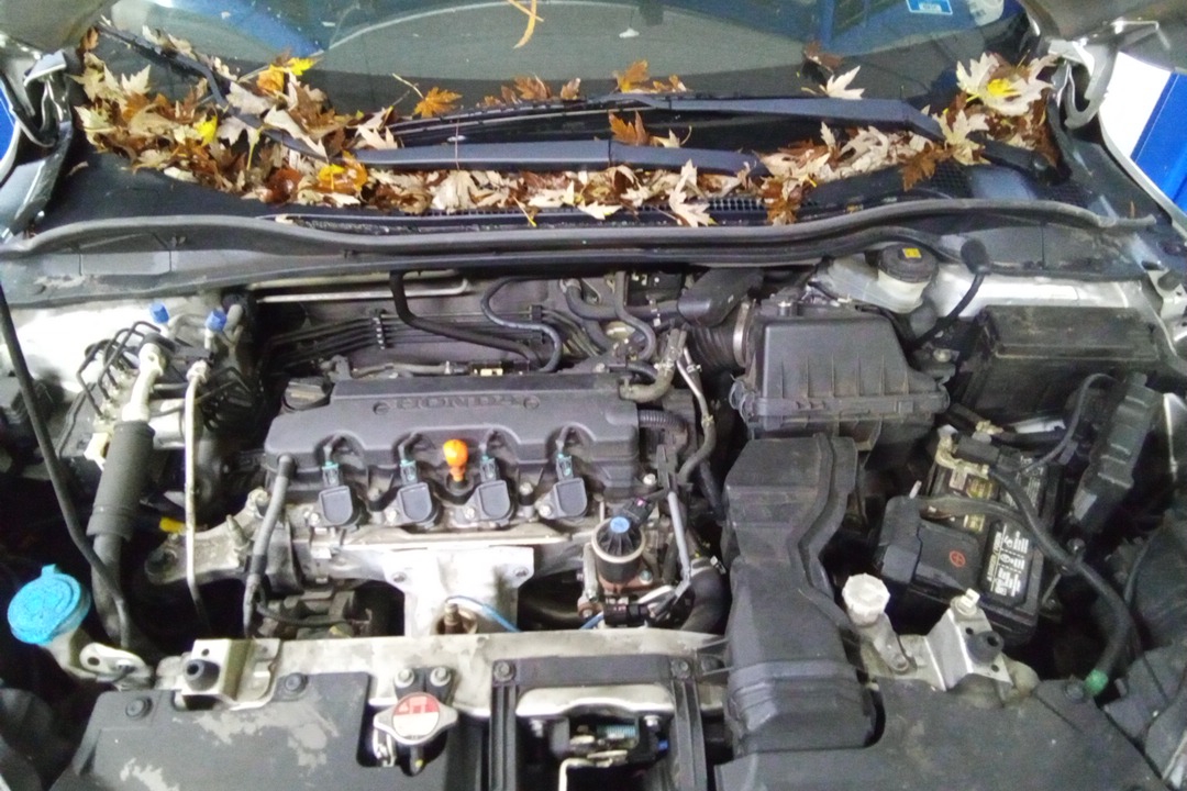 (1.8L VIN RU 4TH AND 5TH DIGITS)