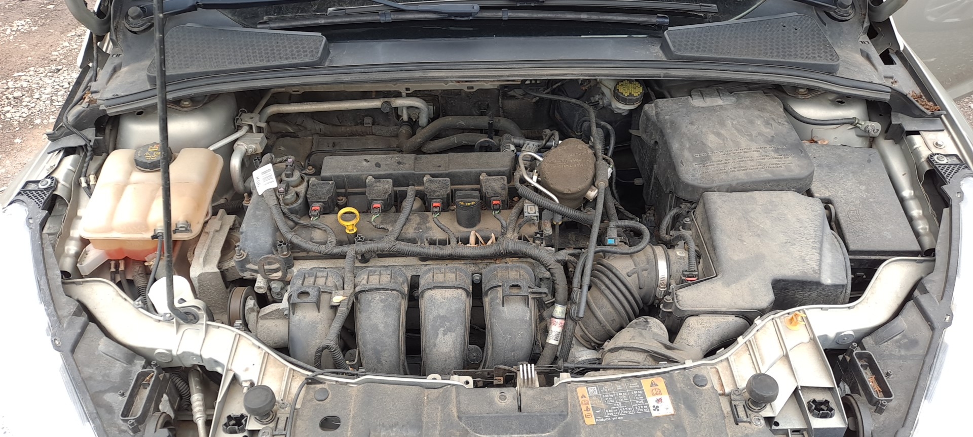 GASOLINE 2.0L W/O TURBO; (VIN 2 8TH DIGIT) X-IMA