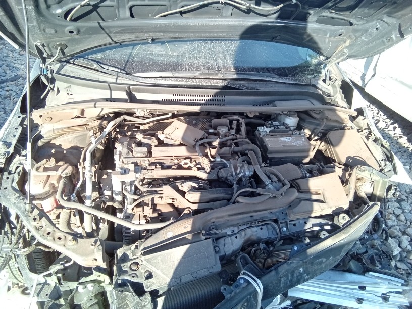 SEDAN GASOLINE (2.0L VIN 4 5TH DIGIT M20AFKS ENGINE)