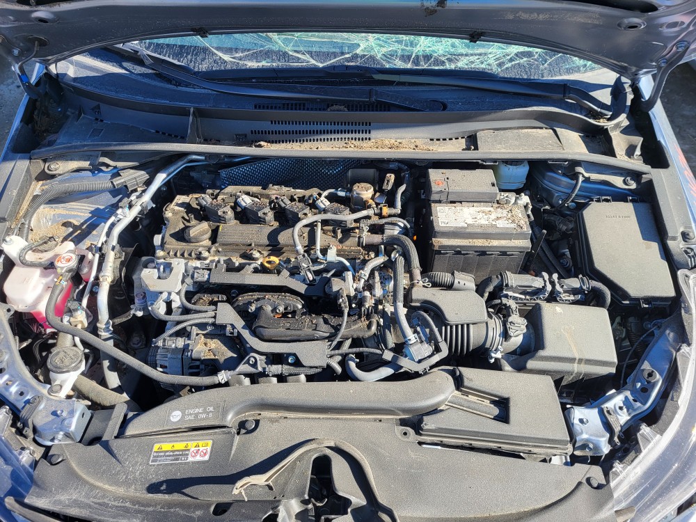SEDAN GASOLINE (2.0L VIN 4 5TH DIGIT M20AFKS ENGINE)