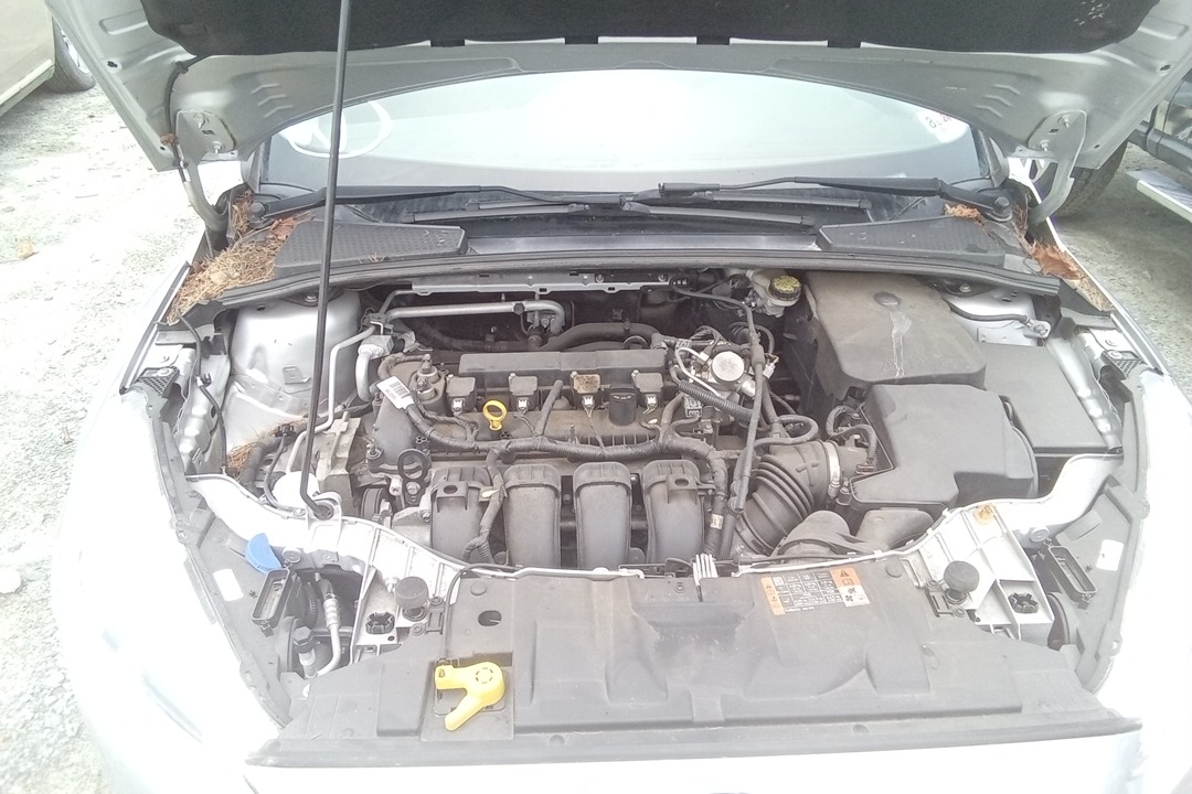 GASOLINE 2.0L W/O TURBO; (VIN 2 8TH DIGIT)