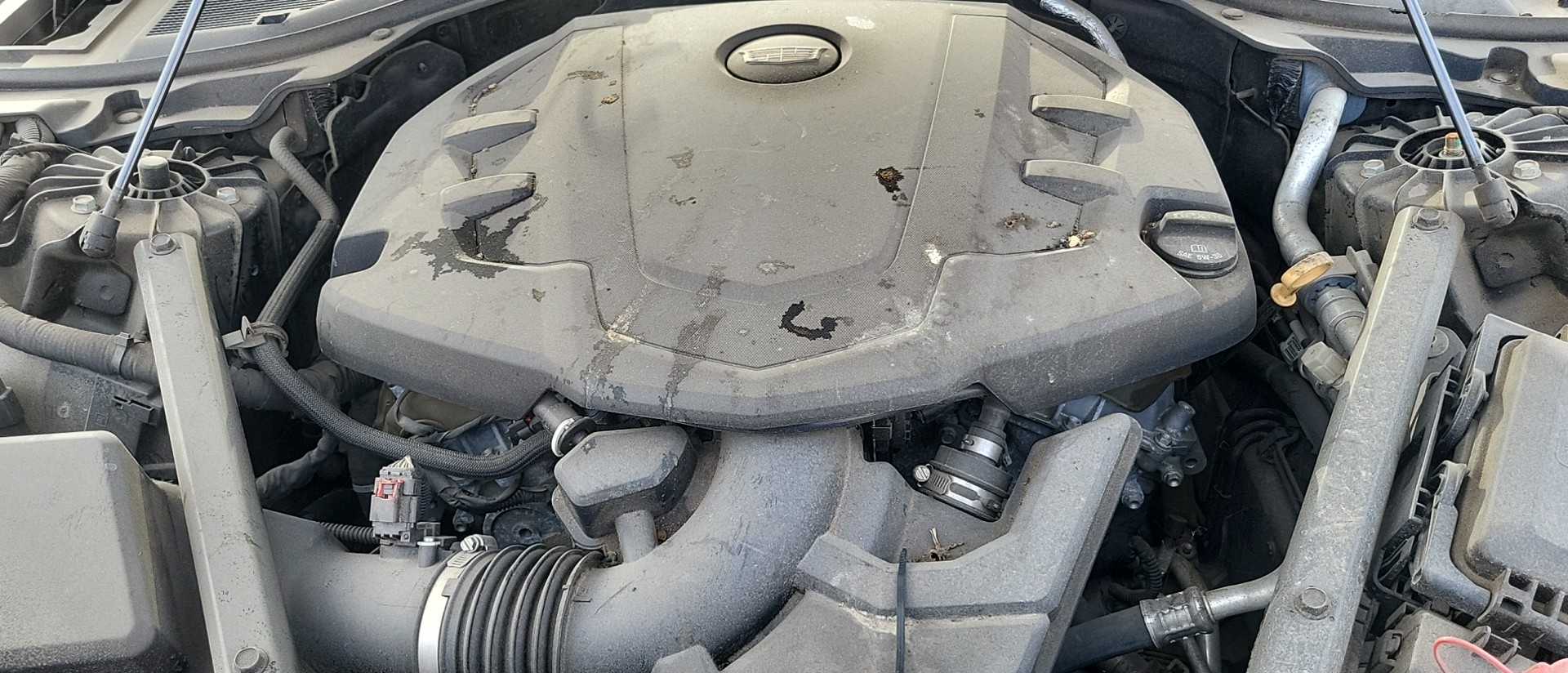 3.6 AUTO AWD 3.6L (VIN S 8TH DIGIT OPT LGX)