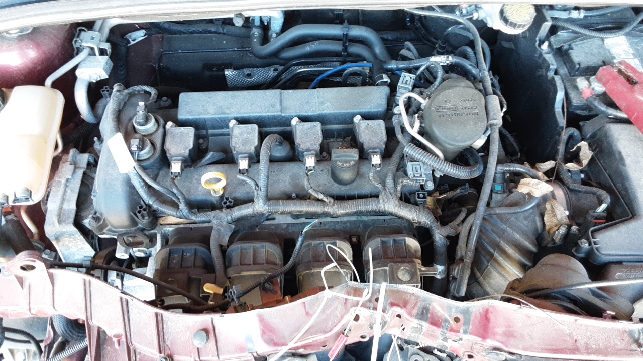 2016 FORD FOCUS RUNS GREAT LAST RUN 1-30-25 GASOLINE 2.0L W/O TURBO; (VIN 2 8TH DIGIT)