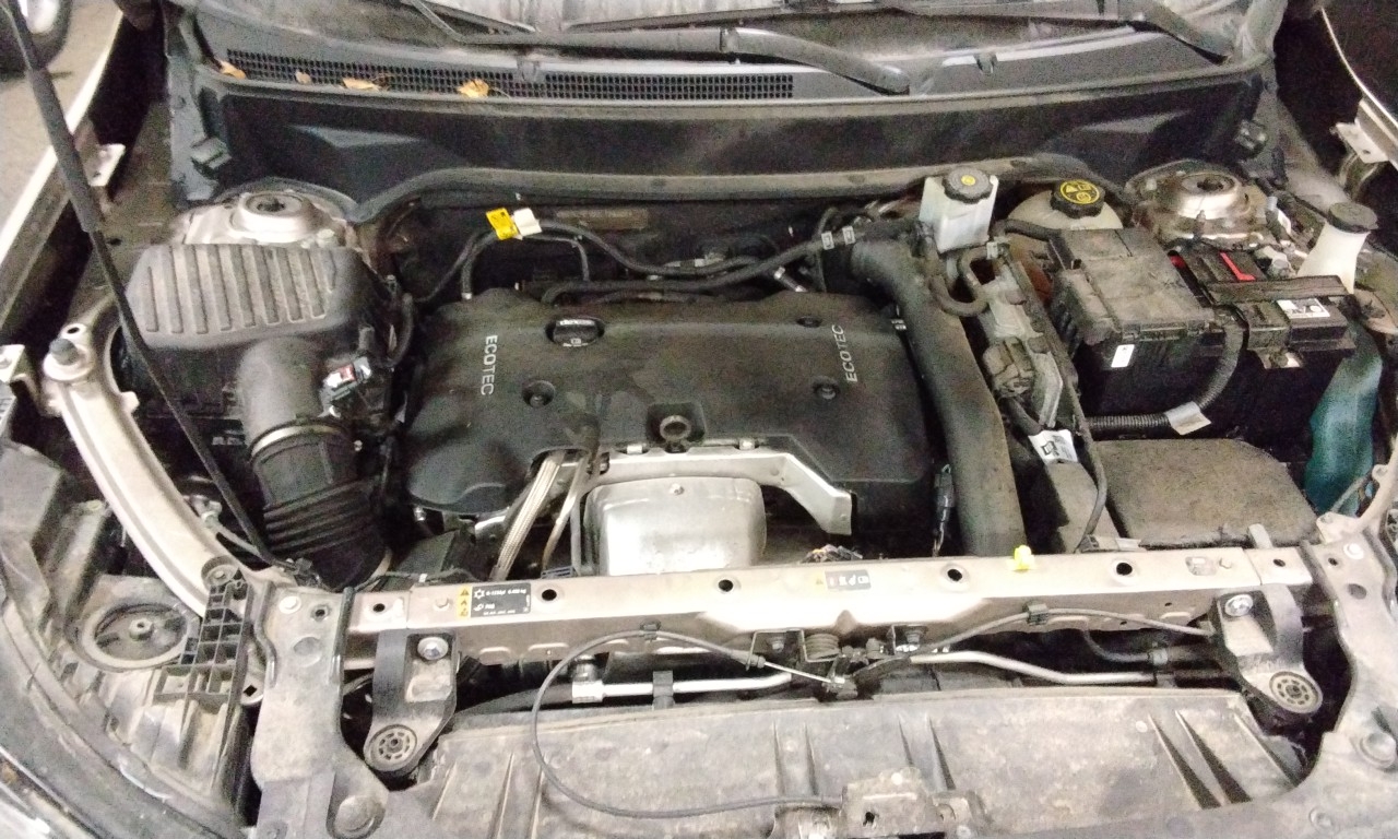 4-2.0L RIV (VIN X 8TH DIGIT OPT LTG) FWD