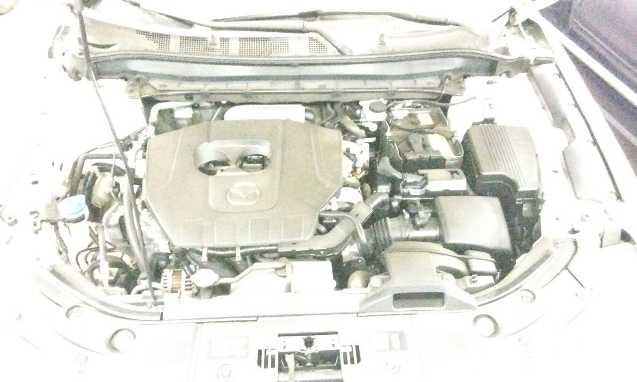4-2.5L RIV VIN M (8TH DIGIT NATURALLY ASPIRATED)