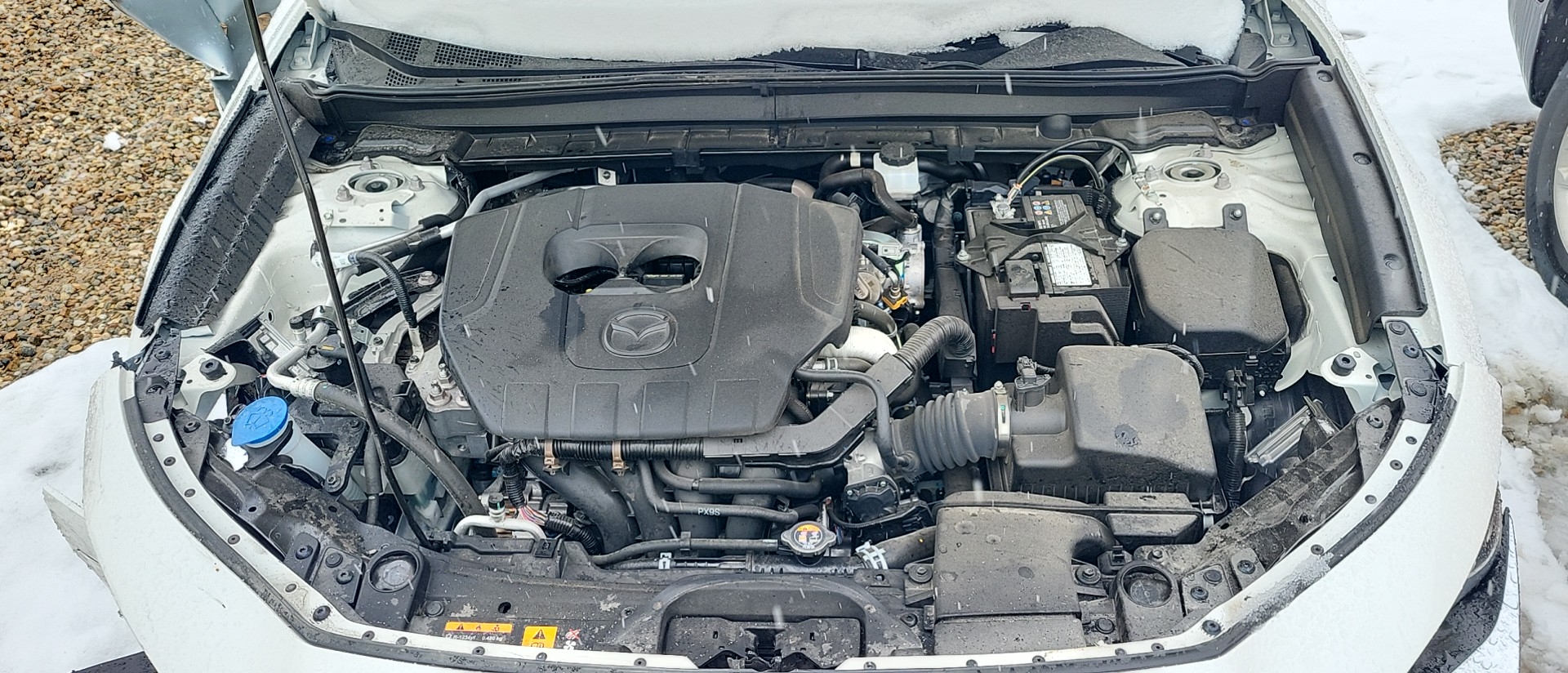 2023 MAZDA CX-30 NOT RAN VIN M (8TH DIGIT NATURALLY ASPIRATED)