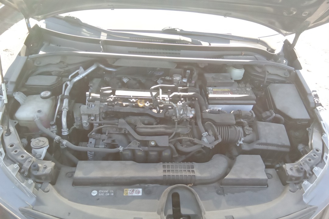 SEDAN 2.0L (VIN 4 5TH DIGIT M20AFKS ENGINE)RG