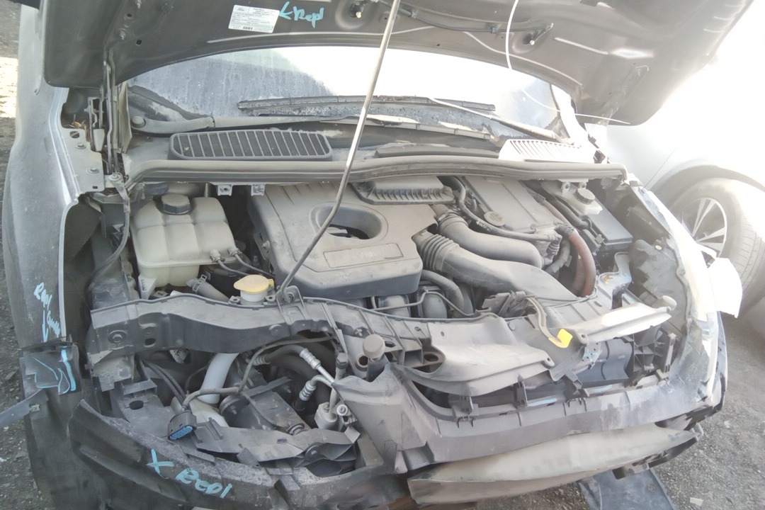GASOLINE (2.0L VIN U 8TH DIGIT)RG