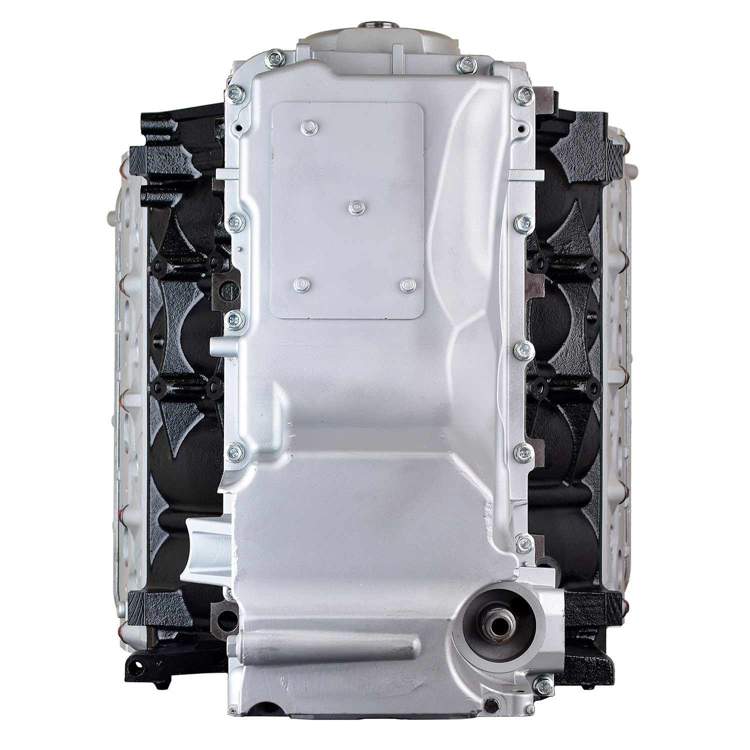 CHEV 4.8 L20 10-17 ENG (6)