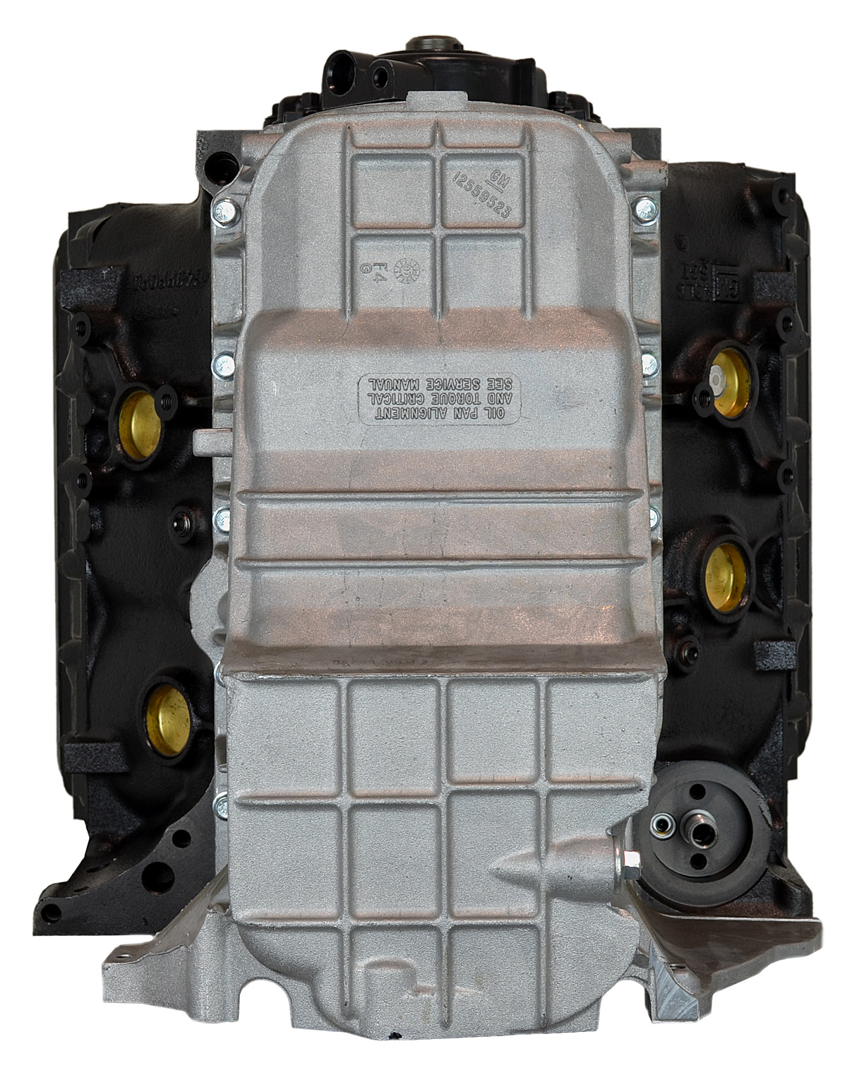 CHEV 4.3/262 96-99 MARINE (6)