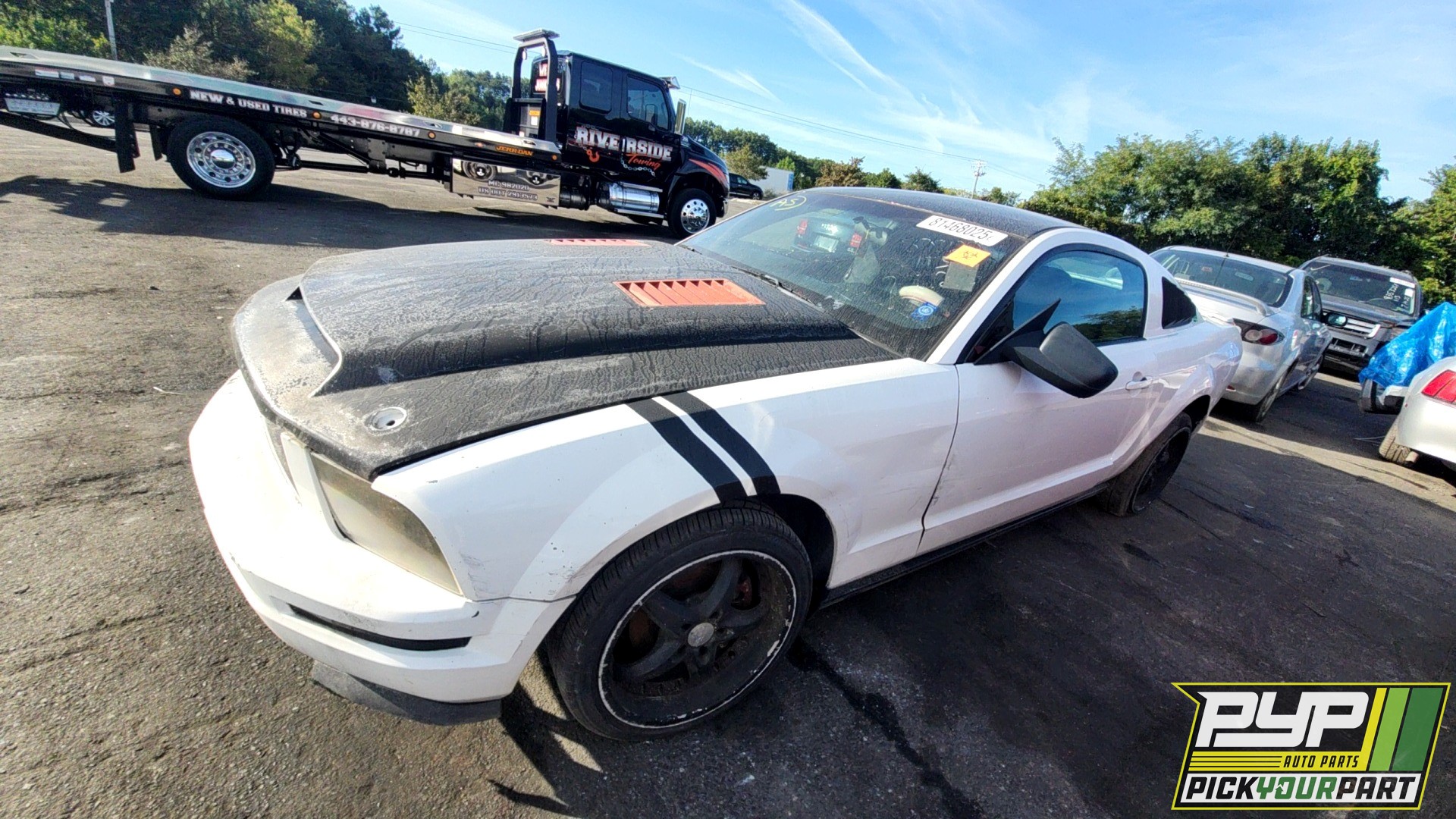 2008 FORD MUSTANG available for parts