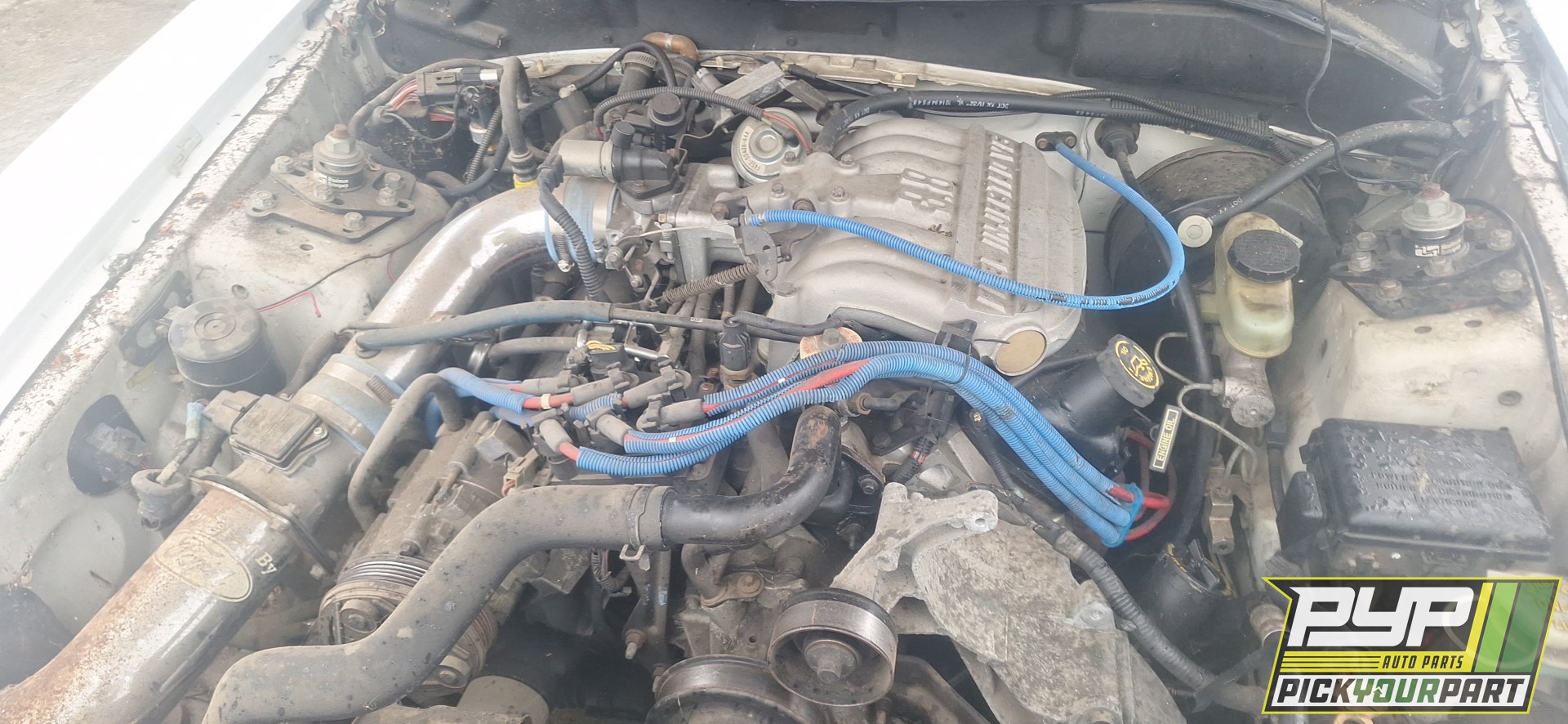 1995 FORD MUSTANG available for parts