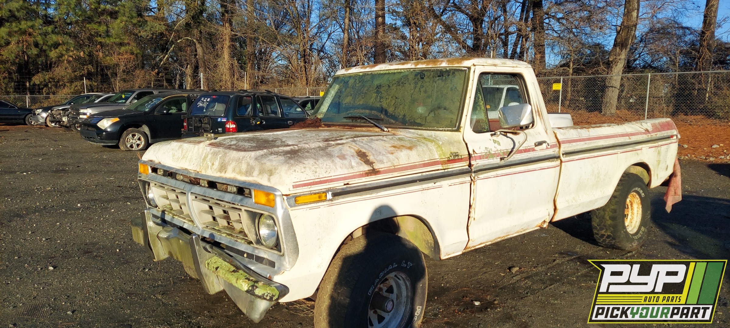 1977 FORD F-150 partes disponibles