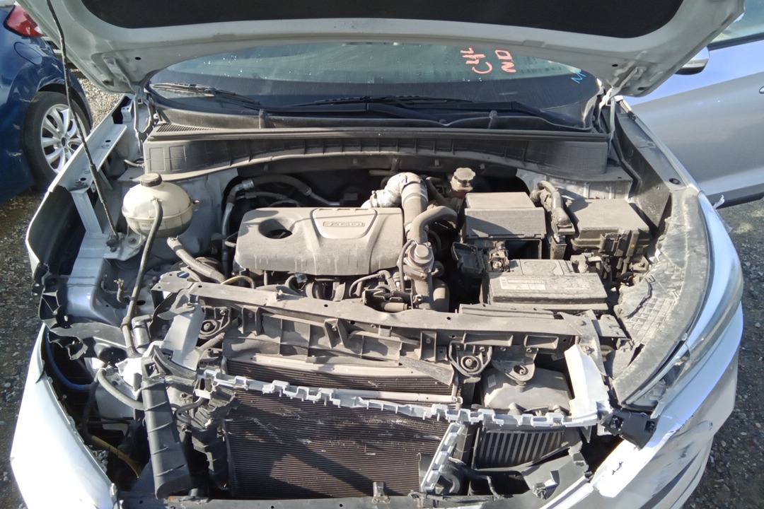 1.6L (VIN 2 8TH DIGIT TURBO)
