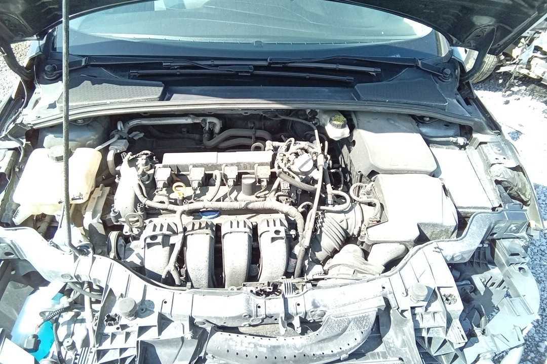 2017 FORD FOCUS RAN GASOLINE 2.0L W/O TURBO; (VIN 2 8TH DIGIT)