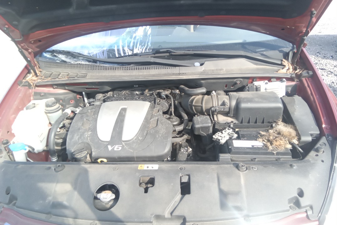 (UTR)(3.5L VIN 7 8TH DIGIT)