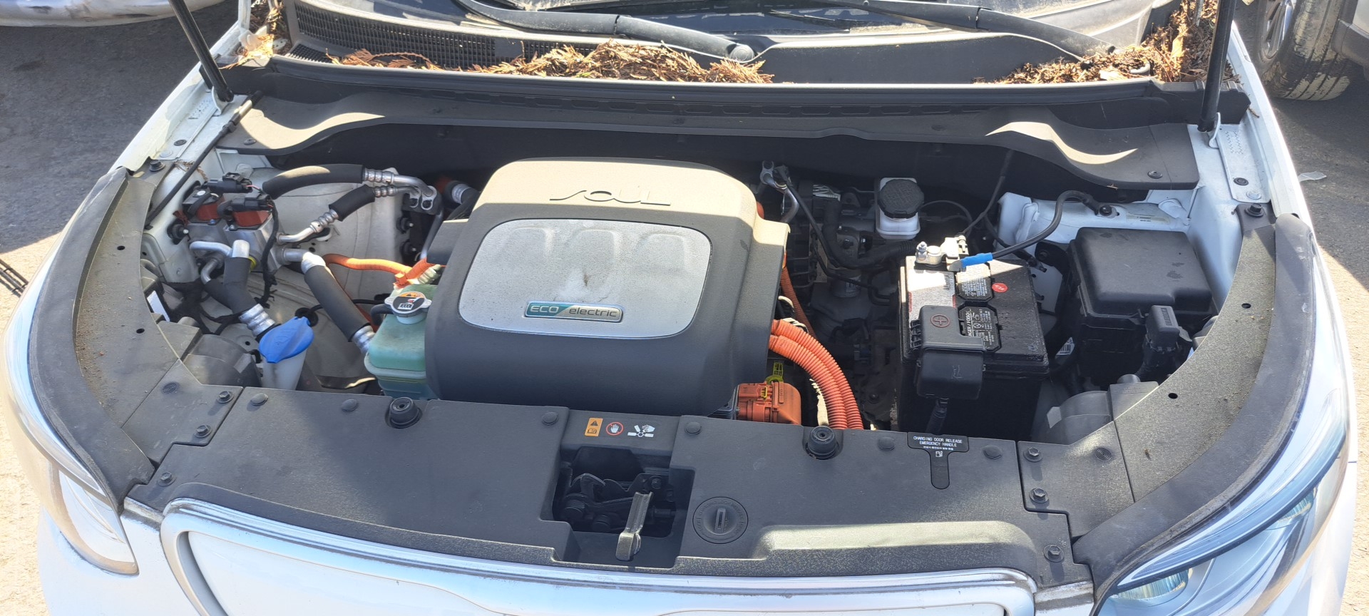 ELECTRIC MODEL (EV VIN E 8TH DIGIT)
