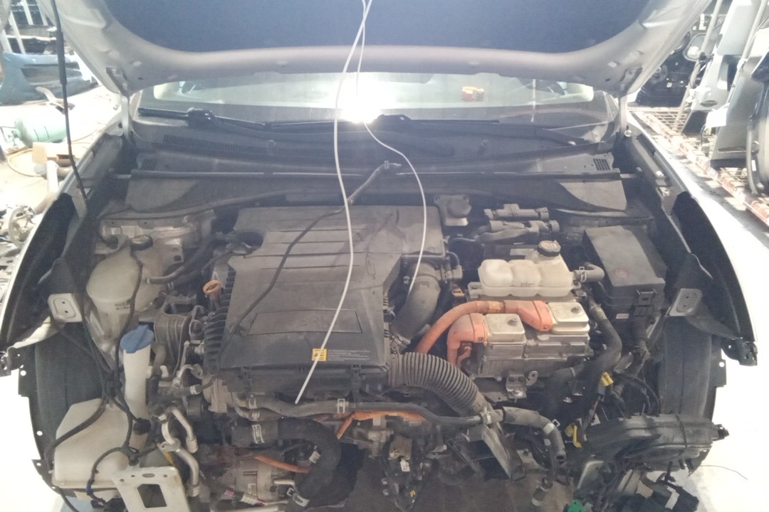 (1.6L) VIN C (8TH DIGIT HEV) GASOLINE