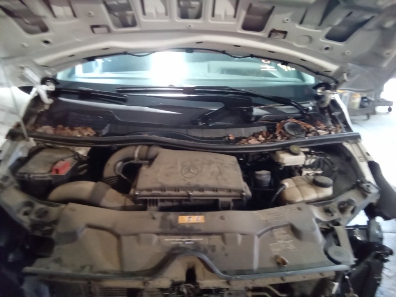 447 TYPE (2.0L VIN 2E 6TH AND 7TH DIGITS)