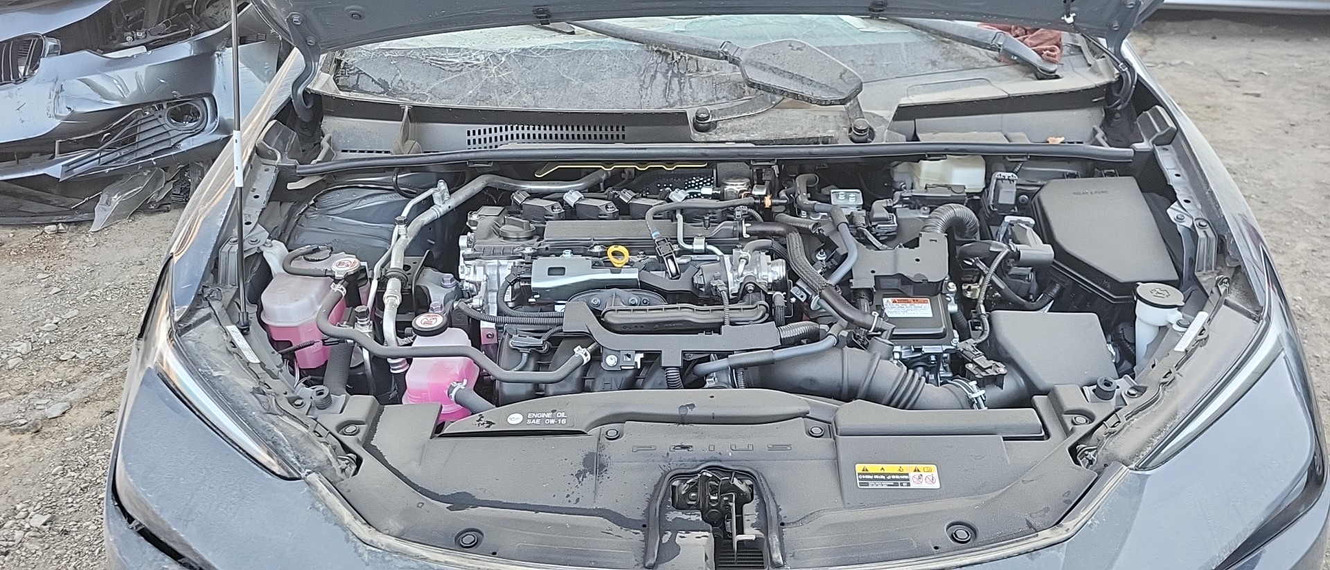 2024 TOYOTA PRIUS RG