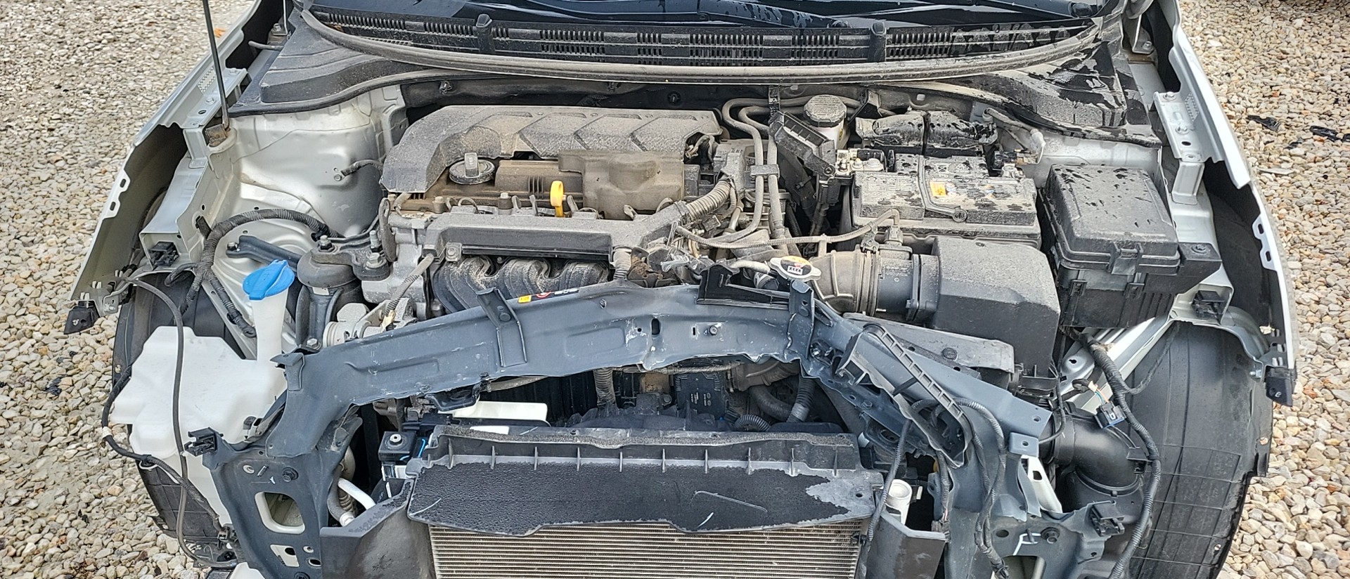 (1.6L VIN D 8TH DIGIT)
