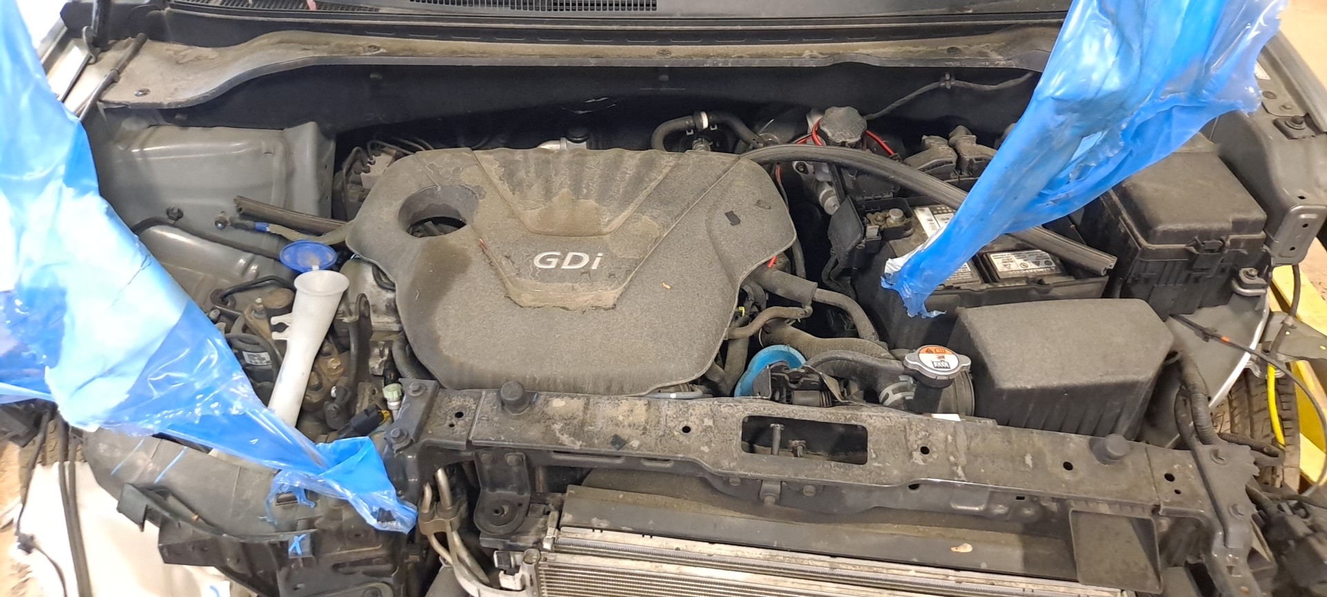 GASOLINE MODEL 1.6L (VIN 2 8TH DIGIT)