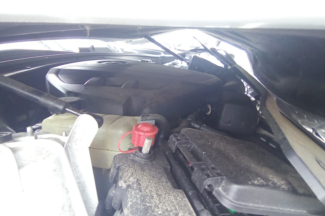 3.6 AUTO AWD 3.6L VIN S (8TH DIGIT OPT LGX) AWD