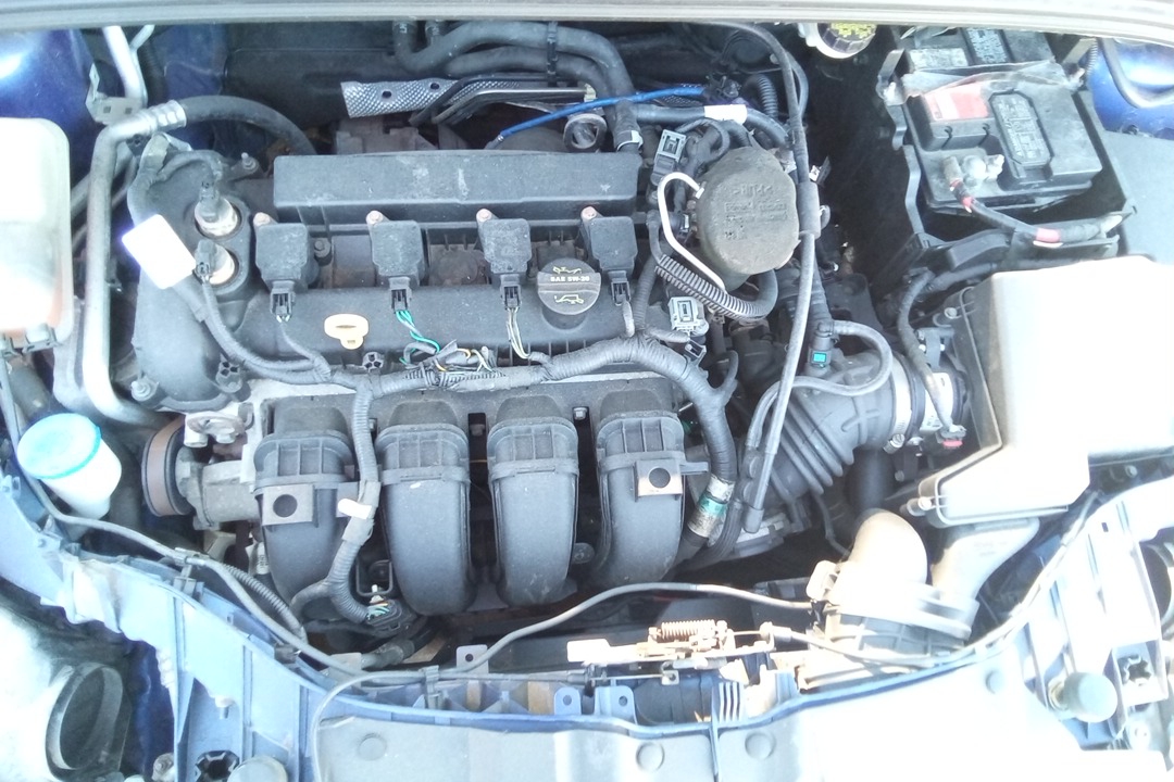 GASOLINE (2.0L VIN 2 8TH DIGIT) FROM 06/01/11