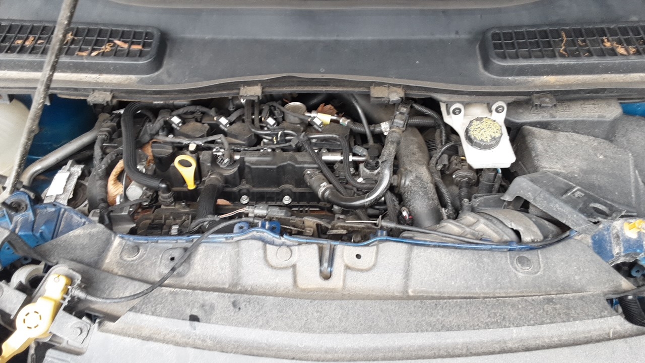 2018 FORD ESCAPE UTR 1.5L (VIN D 8TH DIGIT TURBO)