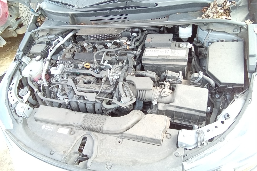 SEDAN 2.0L (VIN 4 5TH DIGIT M20AFKS ENGINE)