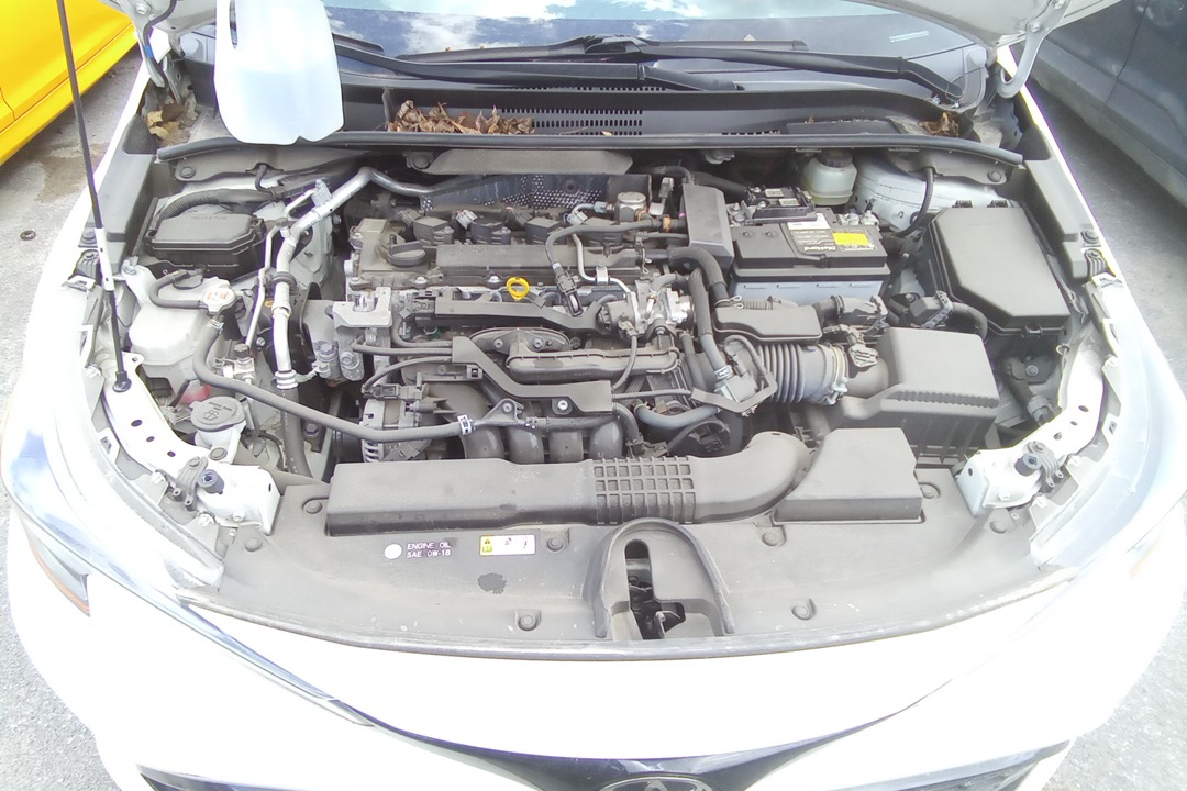 HATCHBACK (2.0L) (VIN 4 5TH DIGIT M20AFKS ENGINE)