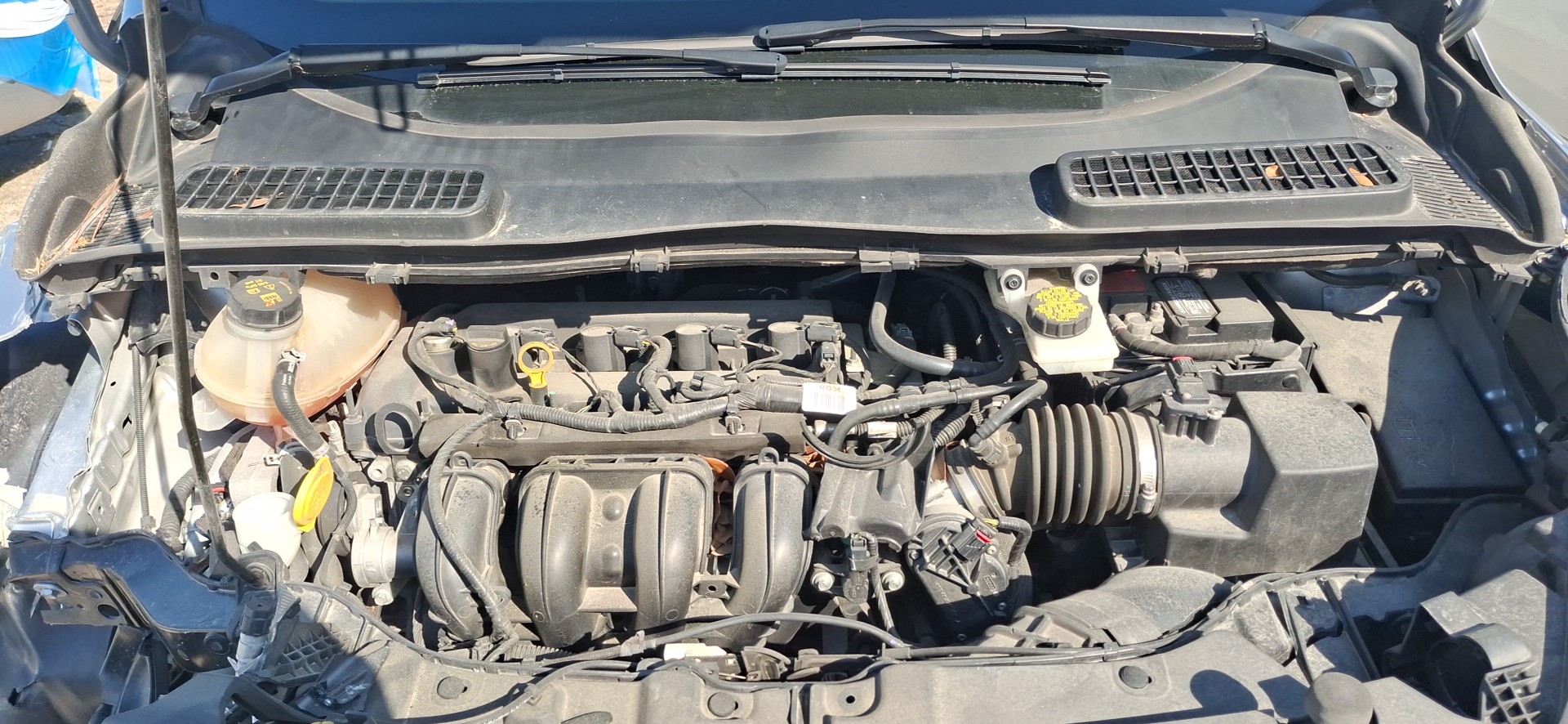 2019 FORD ESCAPE RAN XPAN 2.5L (VIN 7 8TH DIGIT)