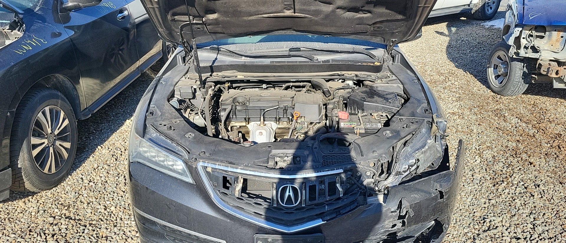 2015 ACURA TLX NOT RAN (US MARKET) 2.4L (VIN 1 6TH DIGIT FWD)